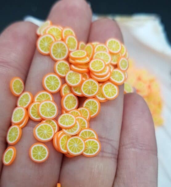 *Orange Slices (41-E) - Image 2